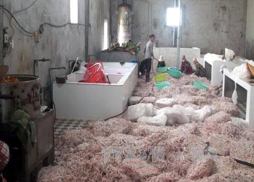 Tiêu hủy 12 tấn chân gà không rõ nguồn gốc 